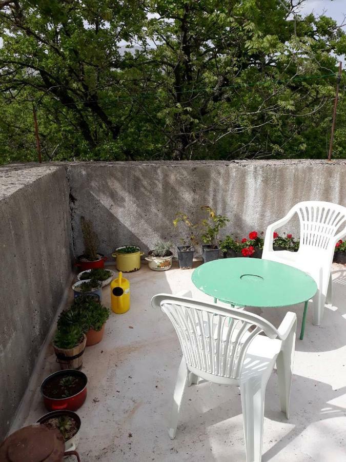 Apartman Milica Golubic  Eksteriør bilde