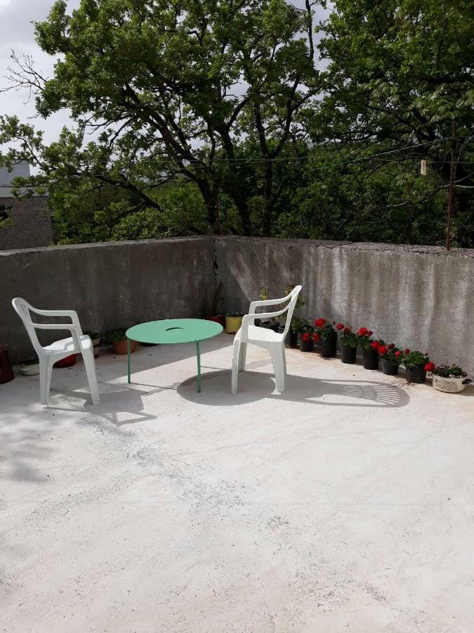 Apartman Milica Golubic  Eksteriør bilde
